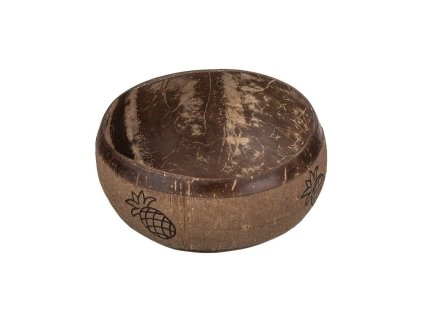 Kokosnussschale mit Ananas