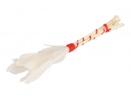 Pinsel aus Gänsefedern