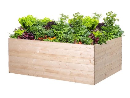 Hochbeet aus Holz 160 x 100 x 60 cm