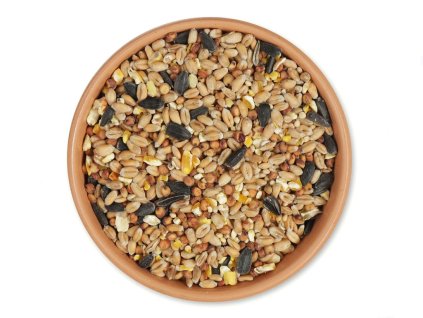 bird food